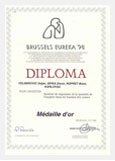 dipl01